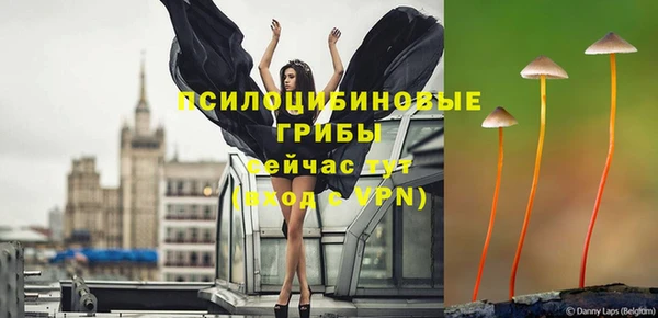 Альфа ПВП Абдулино