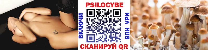shop официальный сайт Владикавказ Псилоцибиновые грибы Cubensis где купить наркоту